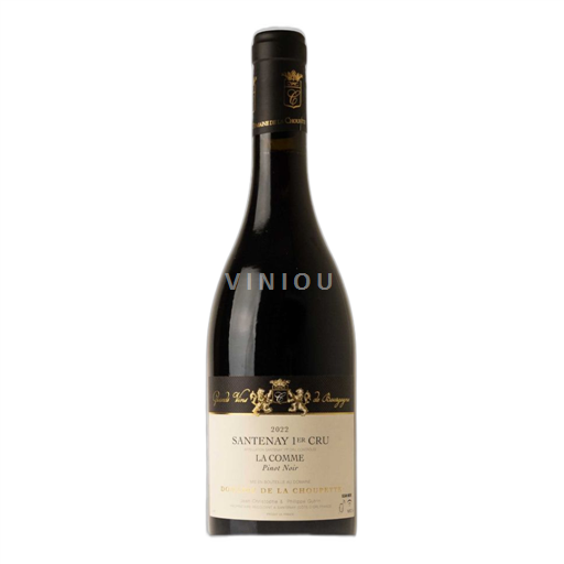 Burgundsko Santenay Premier Cru Domaine La Choupette La Comme 2022