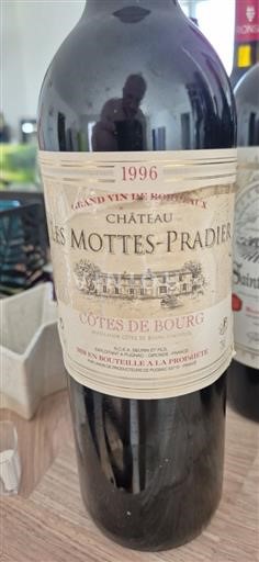Bordeaux Côtes-de-bourg Château Les Mottespradier 1996