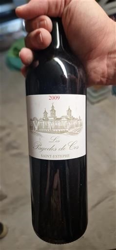 Bordeaux Saint-Estèphe Les Pagodes De Cos 2009