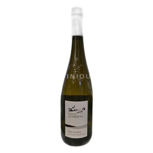 Vallée de la Loire Coteaux-d'ancenis Domaine des Galloires 2019