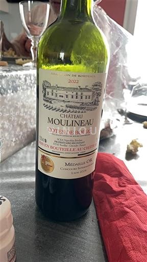 Bordeaux Côtes-de-bourg Château Moulineau 2022