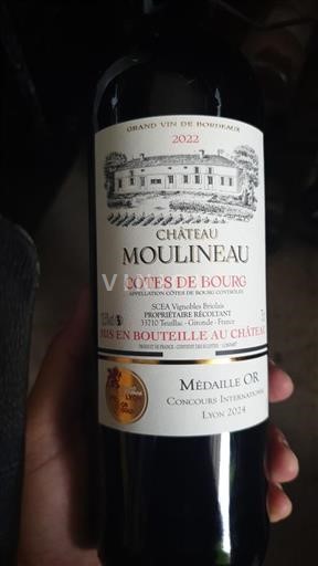 Bordeaux Côtes-de-bourg Château Moulineau 2022
