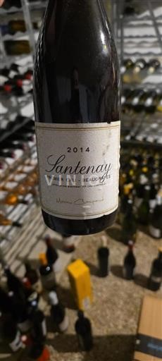 Bourgogne Santenay Premier Cru Maxime Champaud 2014