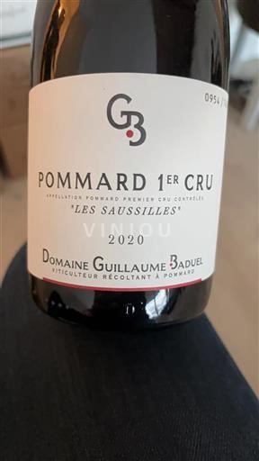 Borgoña No especificado Premier Cru Domaine Guillaume Baduel Les Saussilles 2020