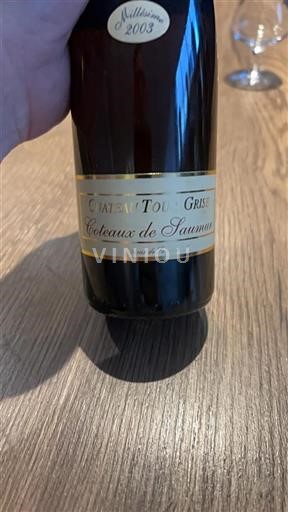 Valle del Loira Saumur Château Tour Grise Coteaux de Saumur 2003