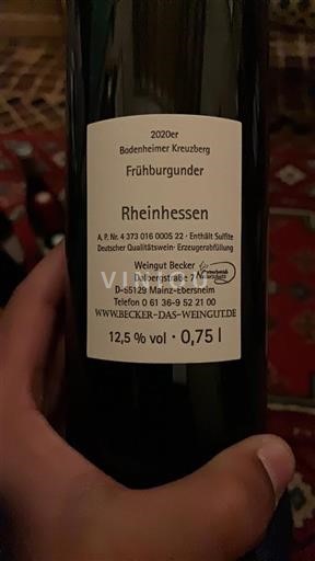 Rheinhessen Không được chỉ định Weingut Becker Bodenheimer Kreuzberg 2020