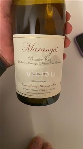 Borgonha Não especificado Premier Cru Domaine Georges Boquie Et Fils 2021