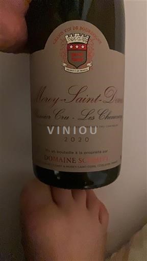 Borgonha Não especificado Premier Cru X Les Chenevery 2020