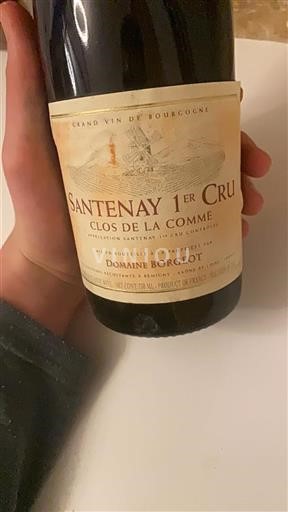 Burgundy Unspecified Premier Cru Domaine Borgeot Clos de la Comme 2009