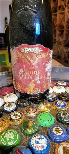 Vale do Loire Anjou Guinée Huetvic Mûrie en fût de chêne 2011