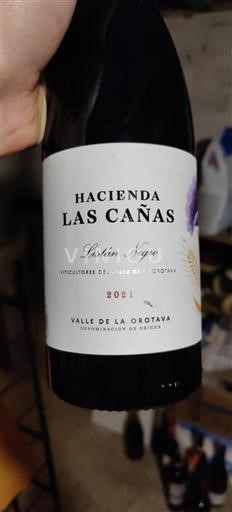 Kanarische Inseln Valle de la Orotava Hacienda Las Cañas Listán Negro 2021