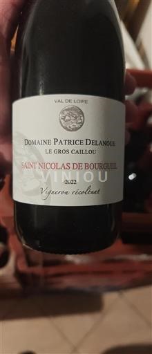Vallée de la Loire Saint-Nicolas-De-Bourgueil Patrice Delanoue Le Gros Caillou 2022