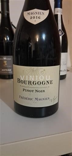 Borgogna Frédéric Magnien 2016