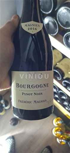 Bourgogne Frédéric Magnien 2016