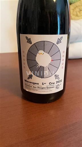 Burgundy Maranges Premier Cru Domaine Des Rouges Queues 2022