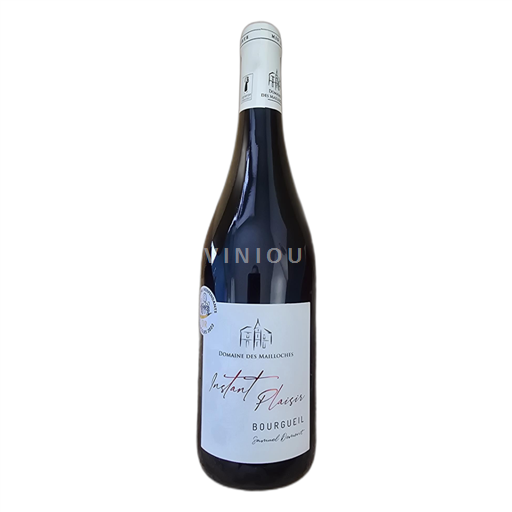 Loire Valley Bourgueil Domaine des Mailloches Instant Plaisir 2022