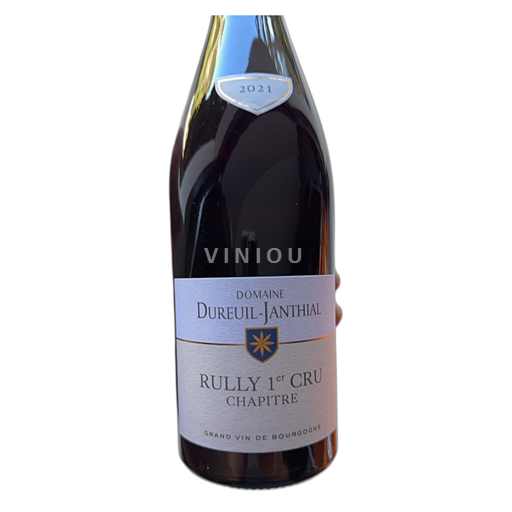 Bourgogne Ospecificerad Premier Cru Domaine Dureuiljanthial Chapitre 2021