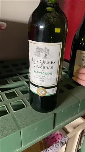 Languedoc-Roussillon Pays d'Oc Les Ormes De Cambra Sauvignon 2017