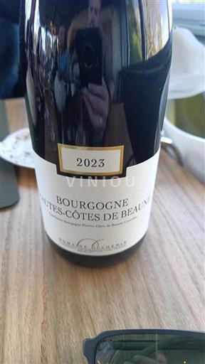 Borgoña Hautes Côtes de Beaune Domaine Duchemin 2023