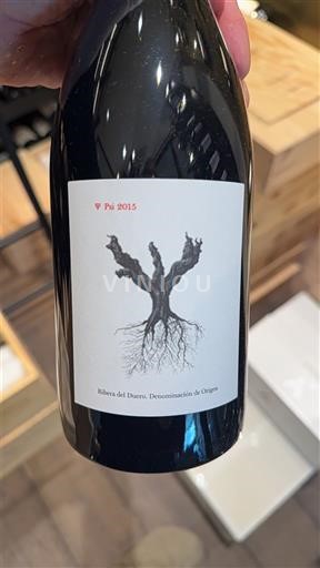 Кастилія і Леон Рибера-дель-Дуеро Psi 2015