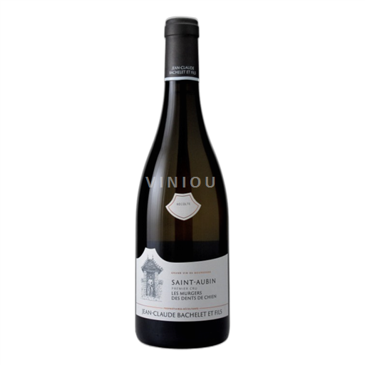 Borgogna Saint-Aubin Premier Cru Jeanclaude Bachelet 1er Cru "Les Murgers des Dents de Chien" 2022