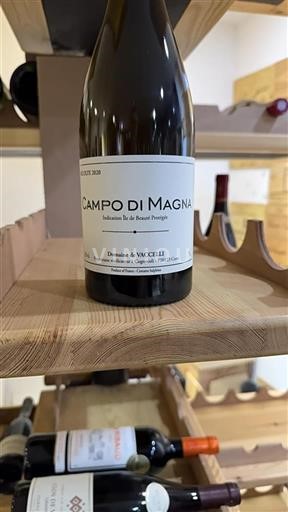 Korsika Ostrov Krásy Domaine Vaccelli Campo di Magna 2020