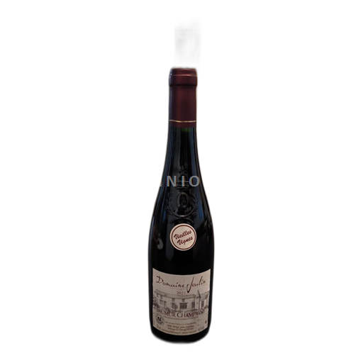 Loire Valley Saumur-Champigny Domaine Joulin 2021