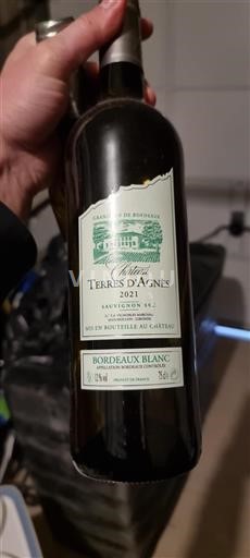Bordeaux Bordeaux beli. Terre Agnès Sauvignon 2021