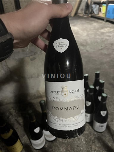 Bourgogne Pommard Albert Bichot 2020
