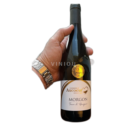 Vin Rouge sec Terre d'Origine Vignoble Aucoeur 2023 France Beaujolais Morgon AOC