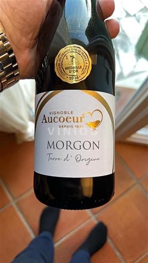Beaujolais Morgon Vignoble Aucoeur Terre d'Origine 2023
