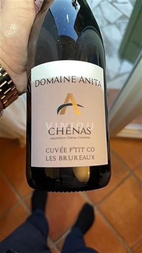 Beaujolais Chénas Domaine Anita P'tit Co Les Brureaux 2023