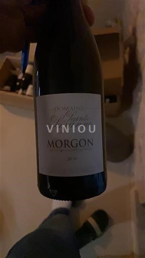 Beaujolais Morgon Domaine Sainte Suzanne 2010