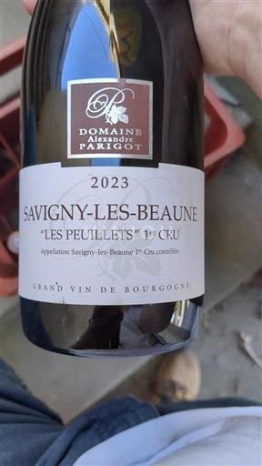 Borgoña Savigny-lès-Beaune Premier Cru Domaine Alexandre Parigot Les Peuillets 2023