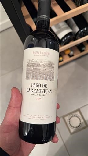Castilien og León Ribera del Duero Pago De Carraovejas Finca y Bodega 2022