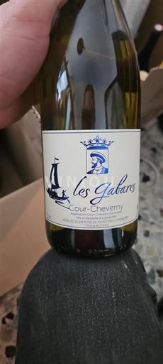 Valle della Loira Cour-Cheverny Les Gabares 2022