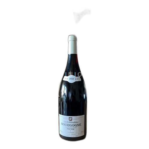 Burgundija Les Echelandières Pinot Noir 2023