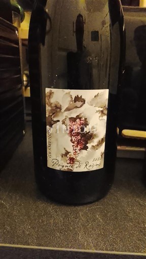 Vale do Ródano Côtes-do-Ródano Gramenon Poignée de Raisins Não Sazonado