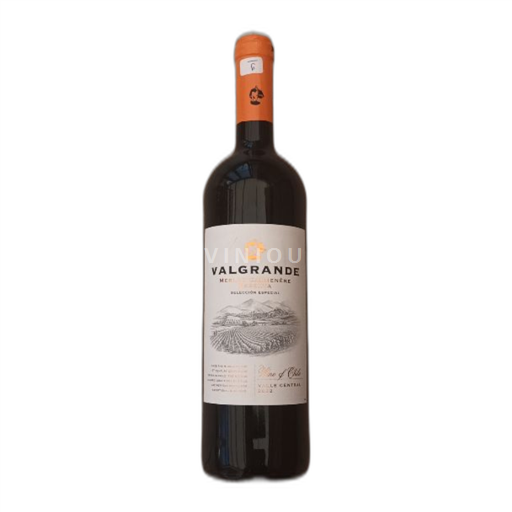 Colchagua Valley Niet gespecificeerd Valgrande Merlot Carmenère Reserva Selección Especial 2022
