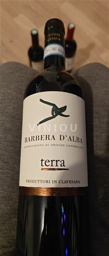 Piedmont Wines Barbera d'Alba Produttori In Clavesana Terra 2023