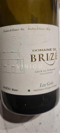 Valle del Loira Anjou Domaine Brizé Les Grés Sin añada