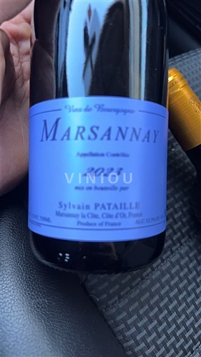 Viner Rouge sec Domaine Sylvain Pataille 2023 Frankrike Bourgogne Marsannay AOC
