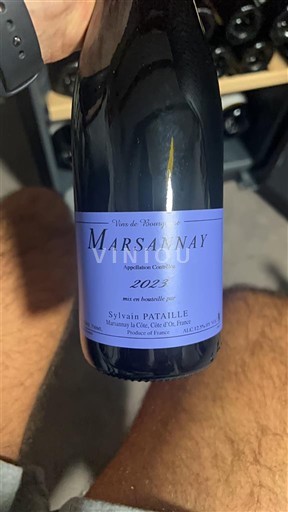 Bourgogne Marsannay Domaine Sylvain Pataille 2023