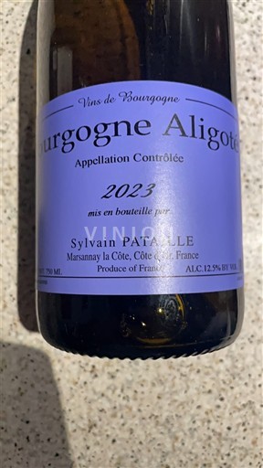 Bourgondië Bourgogne Aligoté Domaine Sylvain Pataille 2023