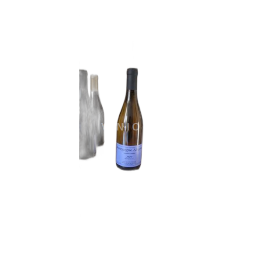 Bourgogne Bourgogne-aligoté Domaine Sylvain Pataille 2023