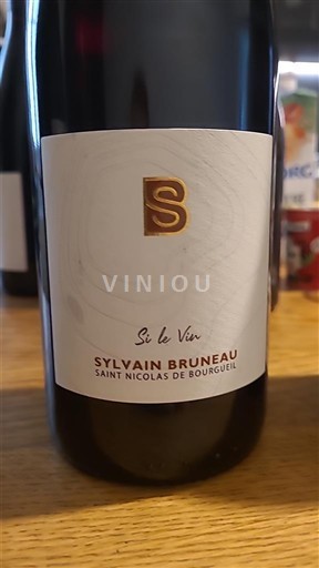 Valea Loarei Saint-Nicolas-De-Bourgueil Sylvain Bruneau si le vin Nemilésimat