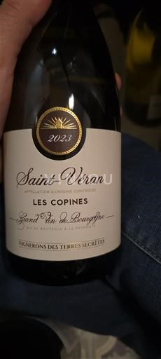 Bourgogne Saint-Véran Grand Cru Vignerons Des Terres Secrètes Les Copines 2023