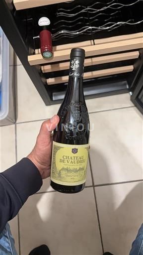 Valle del Rodano Châteauneuf-du-Pape Château Vaudieu 2020