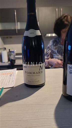 Bourgogne Pommard Vadoisey 2022