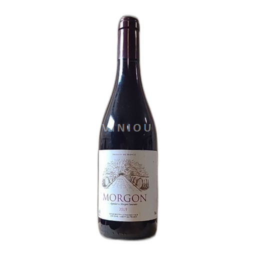 Beaujolais Morgon Brienne 2019